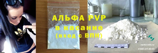 твердый Арсеньев