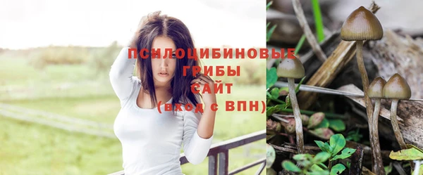 дурь Аркадак